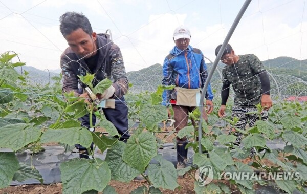 지난해 국내에서 취업한 외국인은 88만4000명으로 집계됐다. [사진= 연합뉴스]