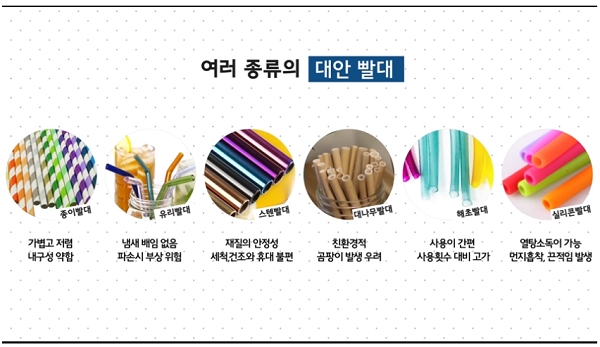 플라스틱 빨대의 대안 빨대들. [출처= 환경부]