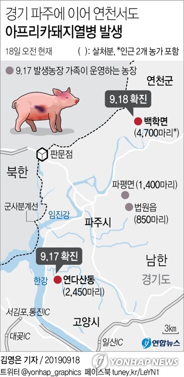 [그래픽= 연합뉴스]