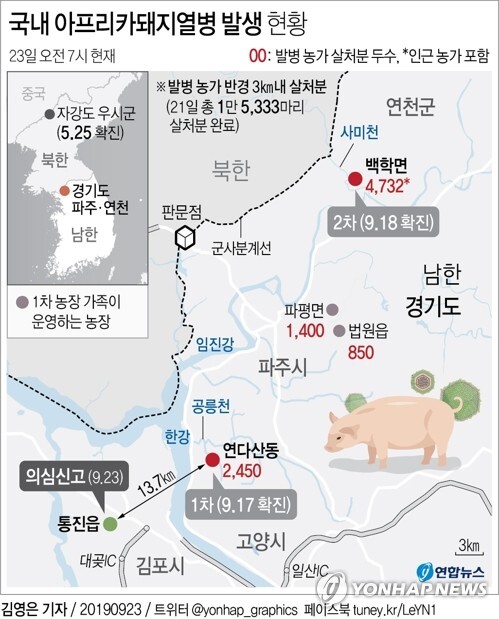 [그래픽= 연합뉴스]