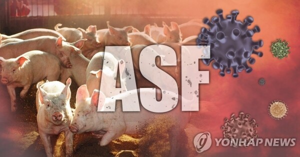 [그래픽= 연합뉴스]