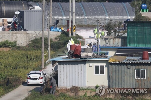 24일 아프리카돼지열병(ASF)이 추가로 발생한 경기도 파주시의 한 양돈농가에서 방역당국이 출입을 통제하고 있다. [사진= 연합뉴스]