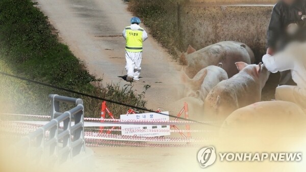 [그래픽= 연합뉴스]