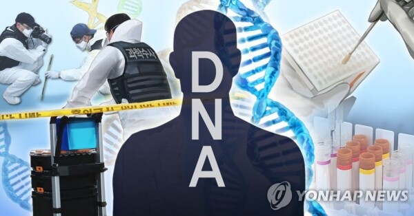 [그래픽= 연합뉴스]