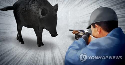 [그래픽= 연합뉴스]