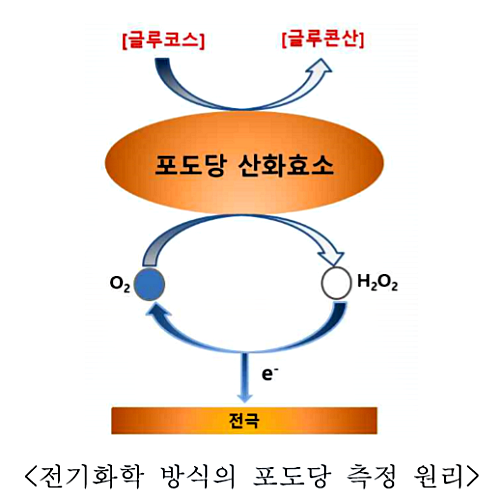 [출처= 식품의약품안전처]