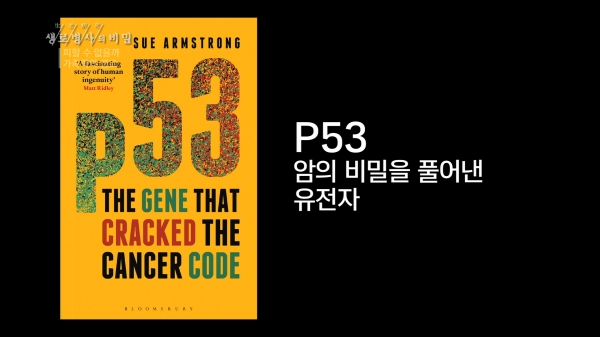 [사진 출처= KBS 1TV '생로병사의 비밀']
