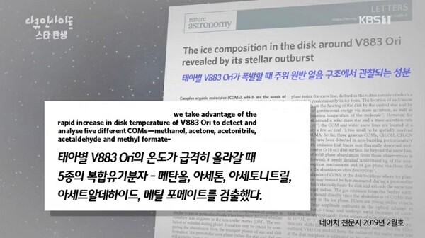 [사진= KBS 1TV '다큐인사이트' 방송 캡처]