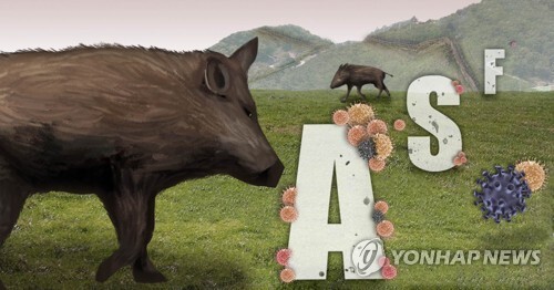 [그래픽= 연합뉴스]