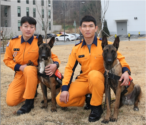 지난해 12월 30일부터 119특수구조대에 새로 도입되어 배치된 119 인명구조견. 오른쪽은 태양과 핸들러 소방교 김행덕, 왼쪽은 태주와 핸들러 소방교 신준용.