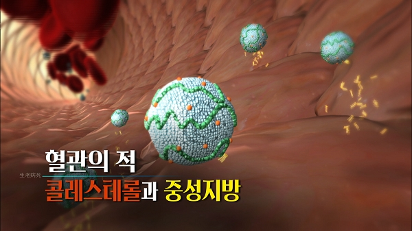 [사진= KBS 1TV '생로병사의 비밀' 제공]