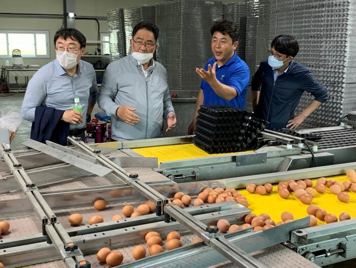 11일 경기도 안성시에 위치한 ‘텃골농장’에서 지준섭 부행장(왼쪽에서 두 번째)과 간담회 참석자들이 달걀 집하 현장을 참관하고 있다.(사진 왼쪽에서 세 번째, 파란옷 텃골농장 우주석 대표)