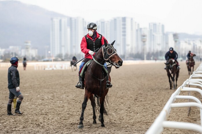 휴장에도 재개를 위해 훈련중인 경주마 관계자들.(사진=한국마사회)