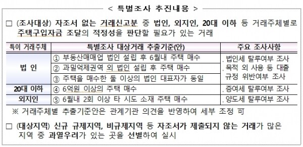 법인 대상 특별조사 추진 내용. [출처= 국토교통부]