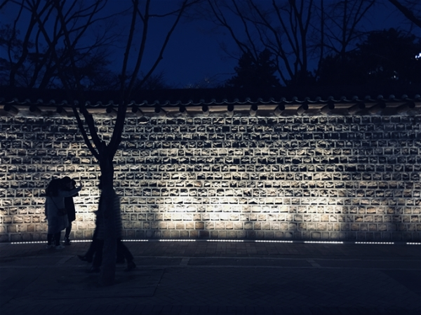 [사진= 셀수스(Celsus) 제공]