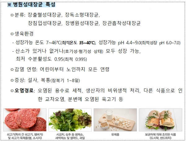 [출처= 식품의약품안전처]
