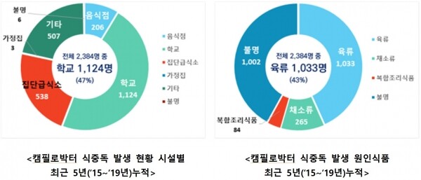 15~19년 5년간 월별 ‘캠필로박터’ 식중독 발생 현황.[출처= 식품의약품안전처]