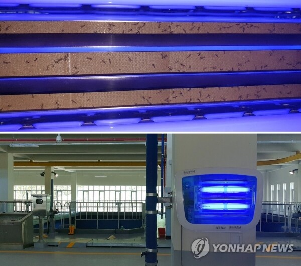 인천시 서구의회 미래통합당 이의상 의원은 지난 15일 깔따구 유충이 발견된 공촌정수장에서 성충 수십 마리가 발견됐다고 22일 밝혔다. [출처= 연합뉴스]
