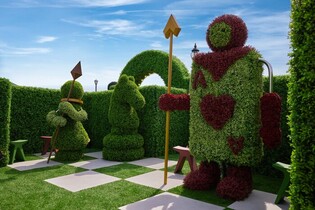 thumbimg