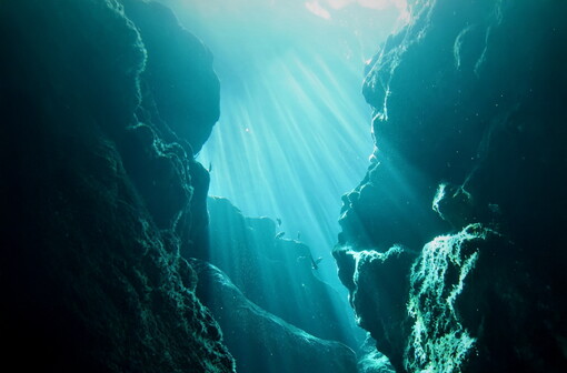 “고환율에도 가족여행은 사이판”…켄싱...