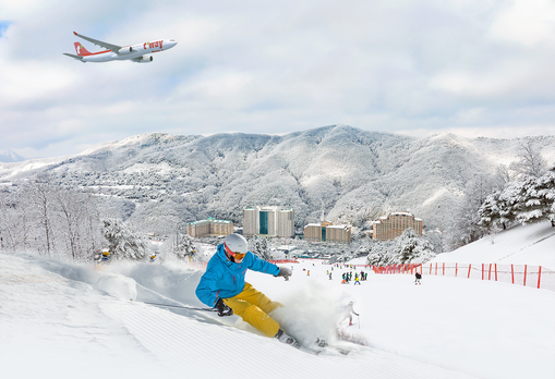티웨이항공, 비발디파크와 겨울 레저 ...