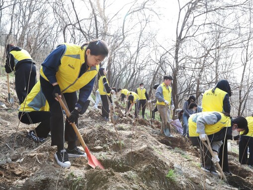 동서식품, 상암 노을공원서 나무심기 ...