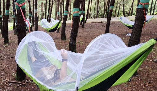 강원랜드, ‘단도박 회복’ 체류형 치...