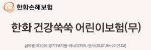 한화손해보험